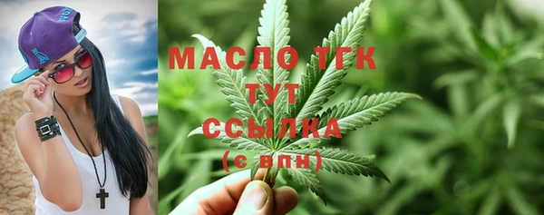 мдпв Богородицк