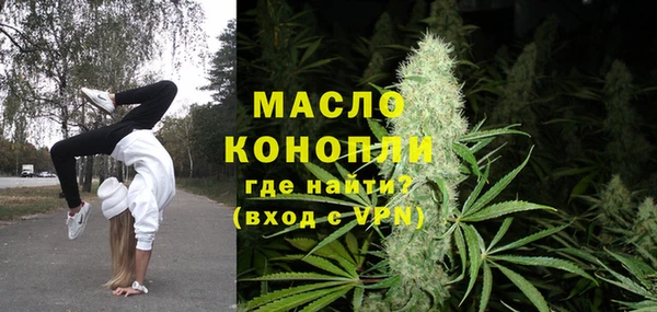 мдпв Богородицк