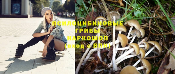 герыч Богданович