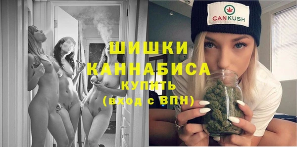 мдпв Богородицк
