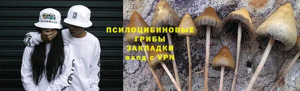 мескалин Богородск