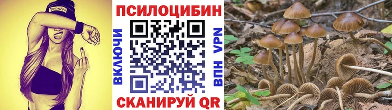 Галлюциногенные грибы прущие грибы  наркошоп  Дубовка 